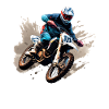 Motocross Motorcycle