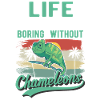 Chameleon Gift Chameleon
