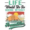 Armadillo Gift Armadillo