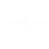 Modèle d’avion télécommandé