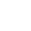81