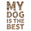 Mon chien est le meilleur