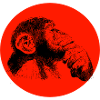 Think monkey chimpanzee