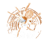 Noël poilu - Tarantula Owner
