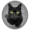Stunning Black Cat Running