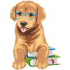 Smart golden retriever with books