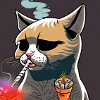 Kiffende Katze