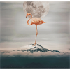 Dream Flamingo