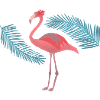 Flamingo and Palms