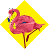 Flamenco Flamingo T Shirt
