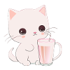 Katze