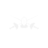 Fencing Fencing