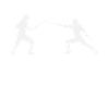 Fencing Fencing