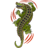 Aligator Crocodile Reptile
