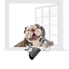 Mon Boouledogue Humour Chien