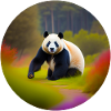 Panda Bear
