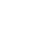 Labrador Mond Nr.2