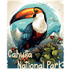 Cahuita National Park Toucan