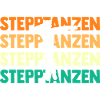Tänzer Stepptanz