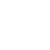 Pensioner pension