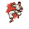 Karaté Combattant