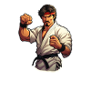 Karate Fighter