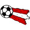 Das Austria Fußball Team