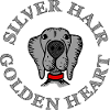 Weimaraner