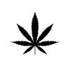 Cannabis Marijuana Weed Smoking