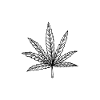 Cannabis Marijuana Weed Fumer