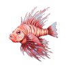 Lionfish