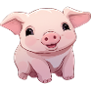 Bébé cochon