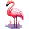 Flamingo