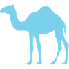 Blue camel