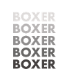 Boxer