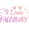I love falconry