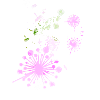 Pusteblume,Blume,bunt, Sterne