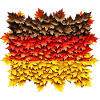 German flag autumn in Germany