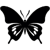 Schmetterling