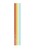 Limited Edition Retro 1990