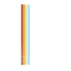 Limited Edition Retro 2020