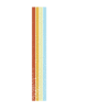 Edition Limitée Rétro 1996