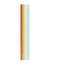 Limited Edition Retro 2018