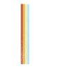 Limited Edition Retro 2005