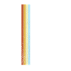 Édition Limitée Rétro 2025