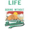 Armadillo Gift Armadillo