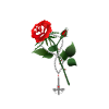 99% Engel