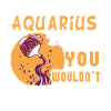 Aquarius It's An Aquarius Thing