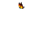 Aesthetic penguin with butterfly