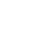 Schildkröten Schildkröte
